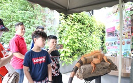 Trẻ em Sài Gòn háo hức đến quán cà phê "độc nhất vô nhị" chơi đùa với "thú cưng tiền tỷ"