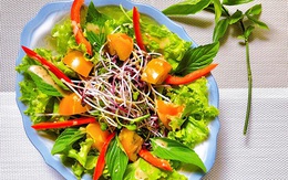 Salad rau mầm sốt mè rang tự làm