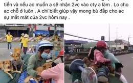 Chủ đàn chó bị tiêu hủy được “đại gia” hỗ trợ tiền, hứa giúp việc làm