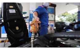 Giá xăng tăng mạnh, cao nhất trong vòng 7 năm qua