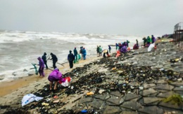 Người dân Hà Tĩnh ra biển vớt "lộc trời" giữa mưa rét