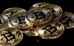 Thiếu niên bị bắt cóc vì khoe nhiều tiền nhờ chơi Bitcoin