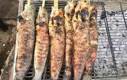 Món ăn vỉa hè nhiều người mê, tiểu thương ngày bán vài trăm con