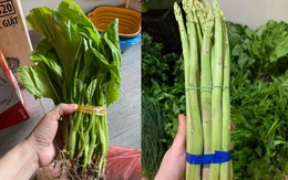 Chỉ 3 ngày không đi chợ, người dân choáng váng với giá rau cải mơ 50.000 đồng/kg