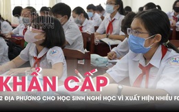 Hai tỉnh Hà Giang, Đồng Nai buộc phải cho học sinh nghỉ học do phát hiện hàng chục ca F0