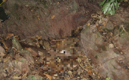 Bắc Giang: Chuyện về tử tù đầu tiên bị thi hành án tiêm thuốc độc và tội ác kinh hoàng trong rừng sâu