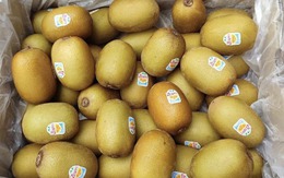 Loại quả một thời hàng VIP nhập khẩu, nay rẻ hơn trái cây Trung Quốc