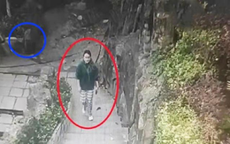 Cô gái tử vong khi chạy bộ buổi sáng, cuộc gọi cuối cùng khiến người cha ân hận suốt đời