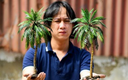 Chàng thợ hồ "phù phép" đồ vật bỏ đi thành vườn cây trái sum suê siêu nhỏ