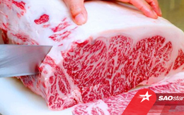 Không phải Kobe, đây mới là loại thịt bò hiếm nhất thế giới