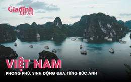 Việt Nam phong phú, sinh động qua từng bức ảnh tại Festival Nhiếp ảnh Quốc tế Việt Nam