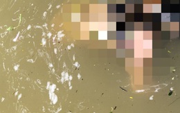 Thừa Thiên Huế: Phát hiện thi thể người phụ nữ trên sông Hương