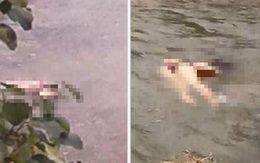 Giải mã tội ác của tên trộm trong vụ người phụ nữ hai con bị sát hại, phi tang thi thể dưới suối