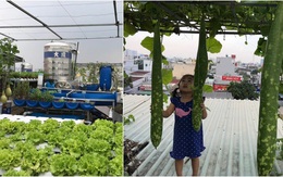 Ông bố ở Sài Gòn tận dụng nóc phòng thờ trồng rau, làm vườn sân thượng 52m2 cả nhà ăn không xuể
