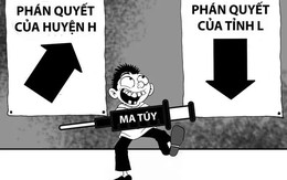 Bi hài với án ma túy