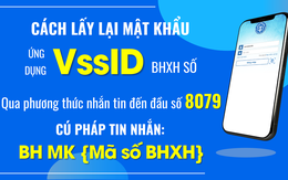 BHXH Việt Nam: Cấp lại mật khẩu đăng nhập VssID qua nhắn tin đến số 8079