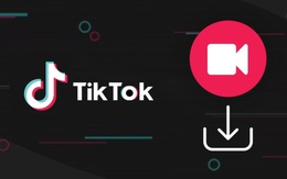 Làm thể nào để tải video TikTok tại Dowtik.com?