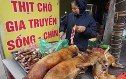 Thành phố đầu tiên của Việt Nam nói không với thịt chó