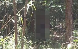 Chánh án TAND huyện tử vong trong rẫy