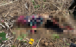 Sát hại nạn nhân rồi tự tử để... kiếp sau được sống cùng nhau