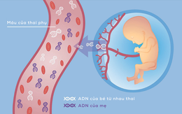Nguyên nhân gây dị tật bẩm sinh, cha mẹ nhất định phải biết