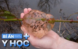 Bí ẩn cơn mưa chất nhầy mang theo thứ dịch bệnh khiến cả thị trấn nhập viện, nghe lời kể của nạn nhân mới thật sự rùng mình