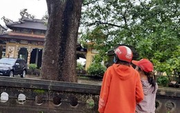 Khởi tố cựu tu sĩ cùng đồng phạm tội giết người