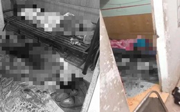 Vì tiền, con trai bất hiếu không chỉ giết mà còn đối xử tàn bạo với thi thể cha mẹ ruột