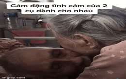 Cụ bà ôm ghì cụ ông phút cuối đời trên giường bệnh: "Cố khoẻ về nhà với tôi nhé"