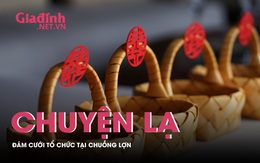 Chuyện lạ: Đám cưới mùa dịch được tổ chức tại chuồng lợn