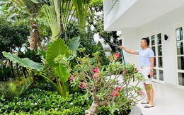 Chi Bảo chăm vườn trong villa 1.600 m2