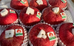 Táo Nhật khổng lồ 1 quả nặng 1 kg đổ về chợ Việt