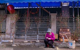 Hơn tháng nữa là Tết: Đào Nhật Tân vừa xuống phố đã bị khách mở hàng "ép giá", tiểu thương thà ế chứ nhất quyết không bán rẻ
