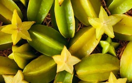 12 món ăn cực kỳ độc nếu không chế biến đúng cách: 5 món thường thấy ở Việt Nam