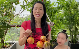 Trịnh Kim Chi khoe tài trồng rau trái cực mát tay: Toàn cây nhỏ xíu mà sai quả hái không xuể