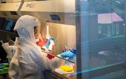 Những người khỏi bệnh sau khi nhiễm Omicron có khả năng miễn dịch trước biến thể Delta