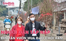 Người dân tấp nập tìm đến làng hoa Nhật Tân chọn mua đào chơi rằm