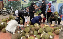 Tiết lộ của "dân trong nghề" về loại mít bị khoét trên đầu, bôi chất trắng