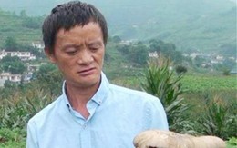 "Jack Ma bán nấm" nổi tiếng một thời: Kiếm bộn tiền nhờ ngoại hình giống tỷ phú nhưng chớp mắt quay lại vạch xuất phát vì một lý do