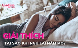 Tại sao khi ngủ lại nằm mơ?