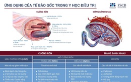 Cryoviva phủ sóng Việt Nam với đại diện chính thức - Ngân hàng lưu trữ FSCB Cryoviva Vietnam