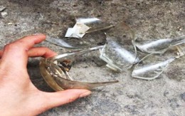 Điều tra vụ ẩu đả dẫn đến chết người ở phố Tô Hiến Thành