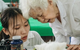 Bên trong phòng khám chữa bệnh, châm cứu miễn phí cho chó mèo ở Hà Nội: "Ngoan, bà thương..."