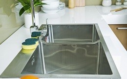 Có một thứ ở bồn rửa bát bẩn hơn cả bồn cầu, ngày nào bạn cũng dùng