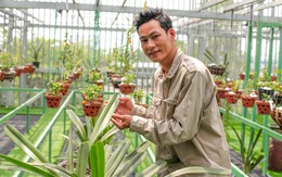 Hoàng Văn Tình – một gương mặt tiêu biểu trong lĩnh vực trồng và kinh doanh hoa lan