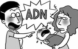 Hi hữu vụ người đàn ông kiện... đòi cha