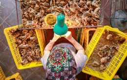 Ngồi soi lỗ huyệt gà, lương cao ngang giám đốc