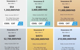 Nhảy vào sàn ảo Coolcat, tham giàu nhanh mất đứt sổ đỏ 5 căn nhà