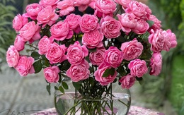 Mẹ đảm Quảng Ninh trổ tài cắm 10 loài hoa hồng ngoại, bình nào cũng lạ mắt đẹp như tranh vẽ