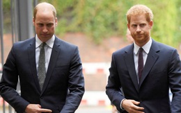 Hoàng tử William, Harry lên án BBC vì mánh khóe phỏng vấn Diana